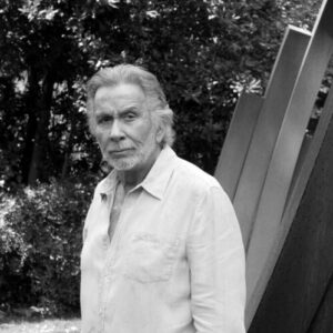 artiste Bernar Venet